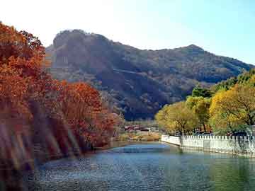 新澳天天开好彩大全，岩峰湿喷机